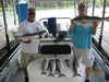 (06/01/2018) - Nice Striped Bass